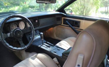 Pontiac-trans-am-1983-black-5