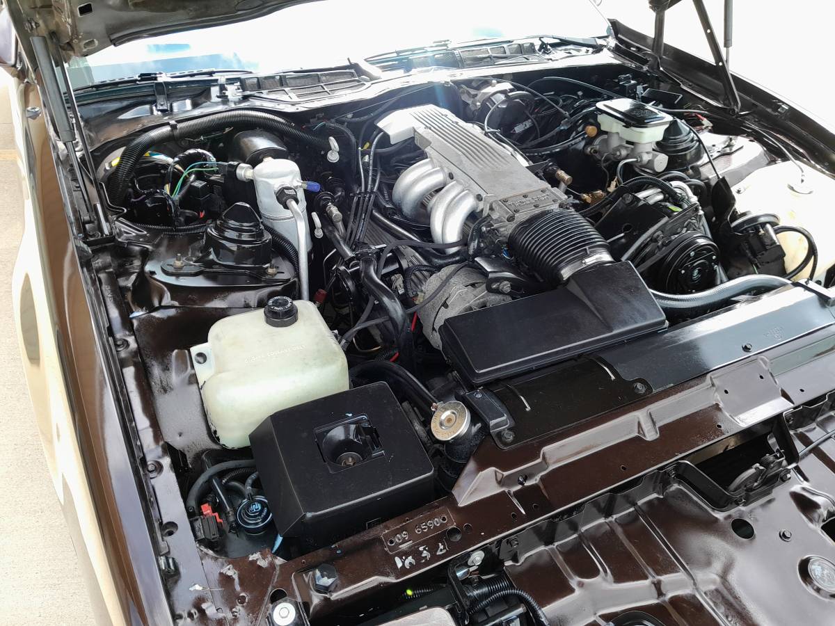 Pontiac-trans-am-1986-11