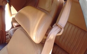 Pontiac-trans-am-1989-white-6