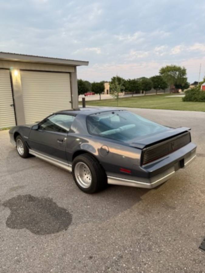Pontiac-trans-am-ws6-1984-grey-3