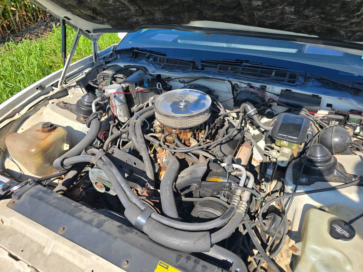 Pontiac-transam-1986-11