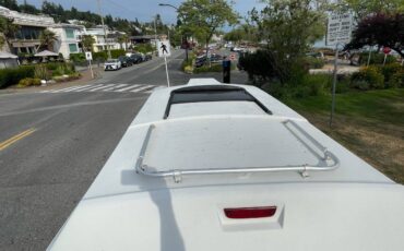 Ram250-1994-white-2