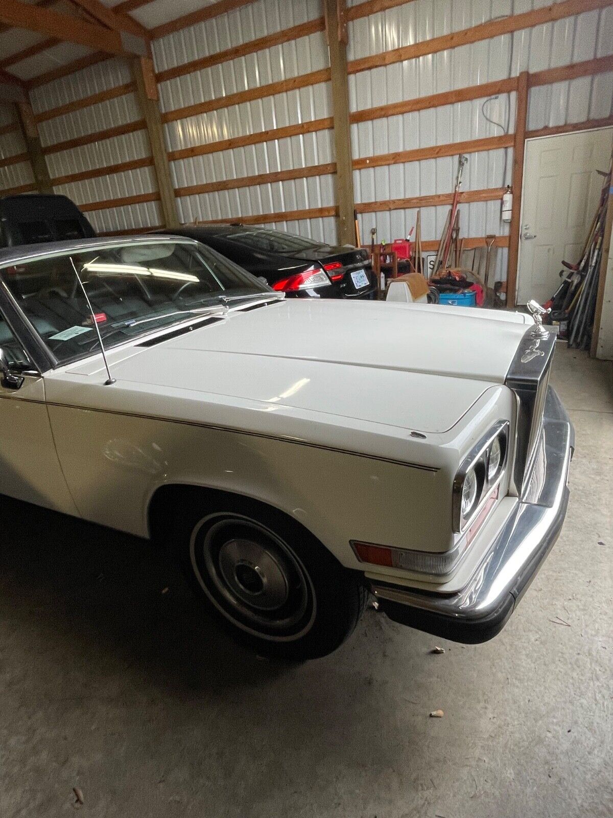 Rolls-Royce-Other-1983-Coupe-2