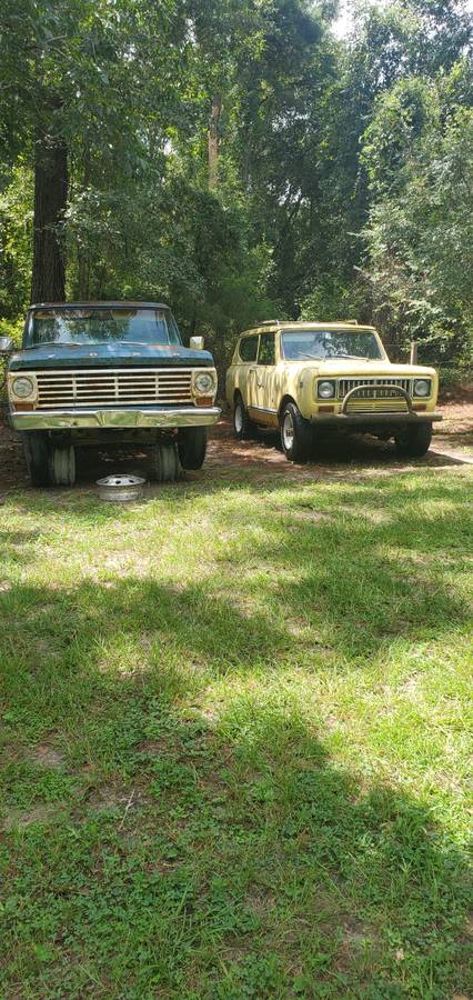 Scout-ll-1975-yellow-11