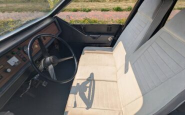 Sebring-vanguard-citicar-electric-1976-white-12