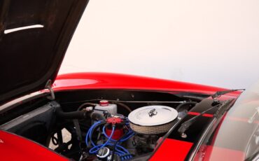 Shelby-Cobra-Factory-Five-1967-Convertible-20