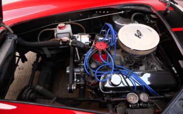 Shelby-Cobra-Factory-Five-1967-Convertible-22