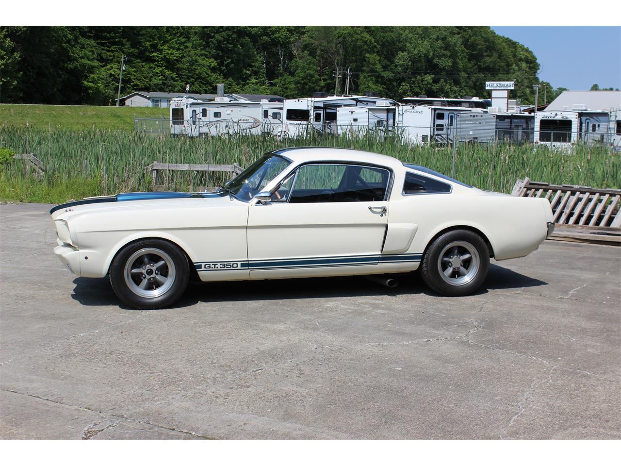 Shelby-Gt350-1966-White-Black-2