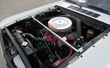 Shelby-Gt350-1966-White-Black-22