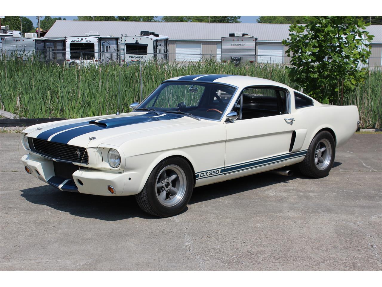 Shelby-Gt350-1966-White-Black-3