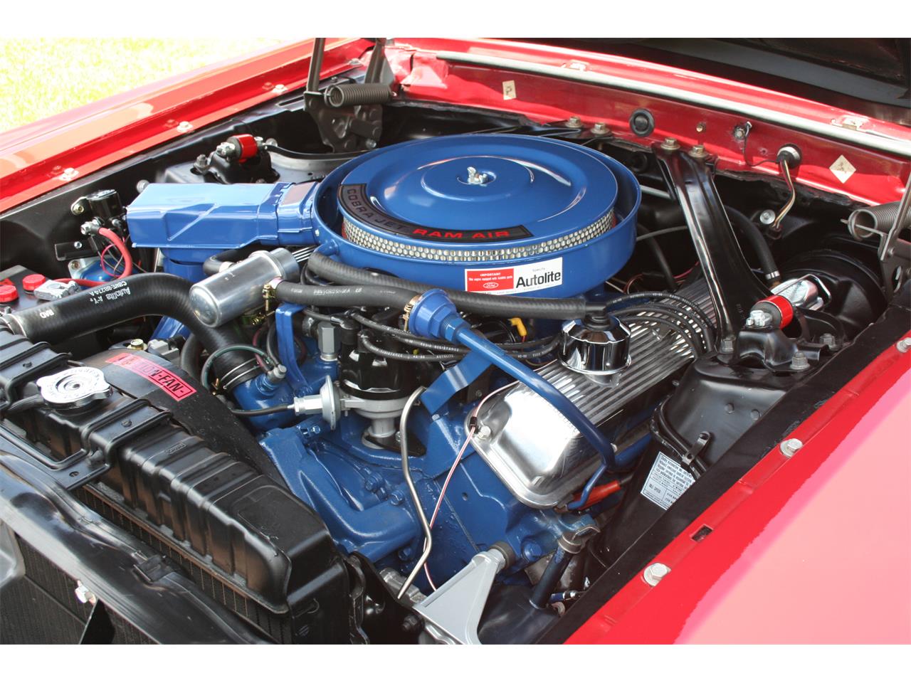Shelby-Gt500-1969-Candy-Apple-Red-White-48