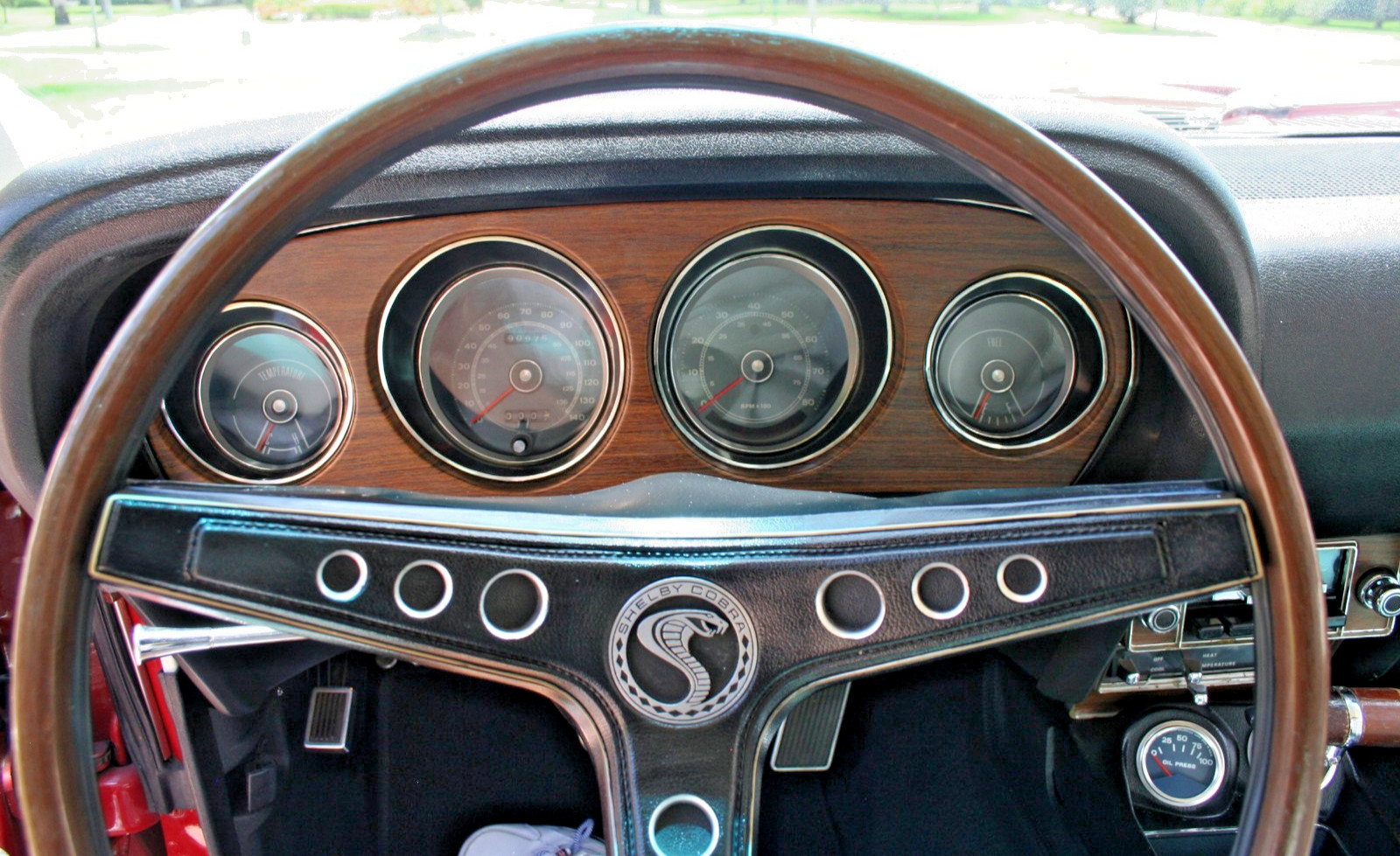 Shelby-Mustang-1969-Fastback-14