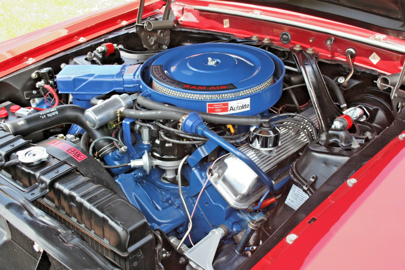 Shelby-Mustang-1969-Fastback-23