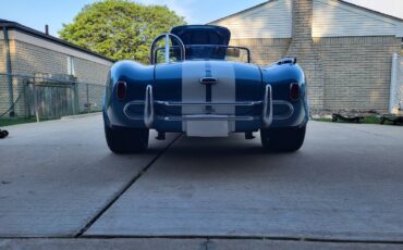 Shelby-cobra-replica-1990-custom-4