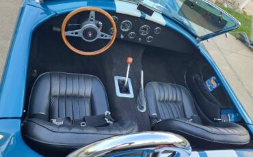 Shelby-cobra-replica-1990-custom-7