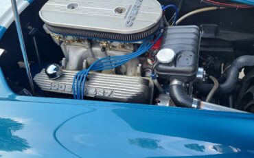 Shelby-cobra-replica-1990-custom-9