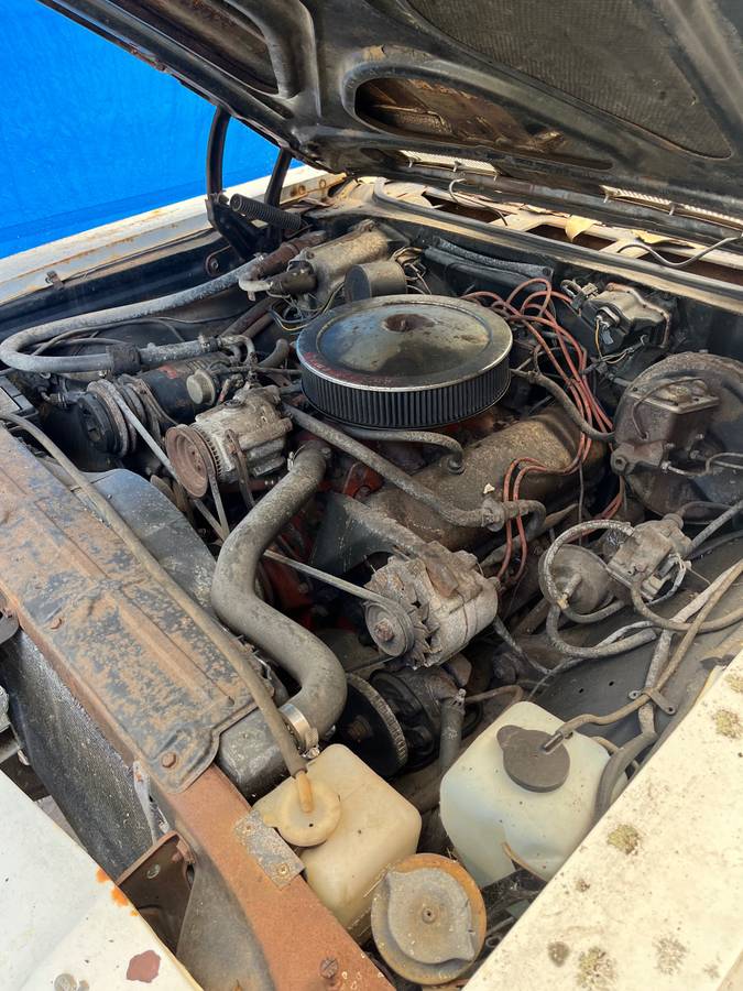 Ss-el-camino-1968-17