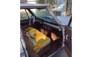 Studebaker-Cruiser-1963-White-Brown-8