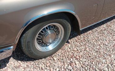 Studebaker-Hawk-1963-Metalic-Brown-Black-2
