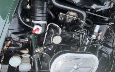 Sunbeam-Tiger-1965-Forest-Green-black-17