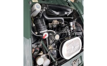 Sunbeam-Tiger-1965-Forest-Green-black-18