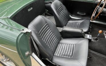 Sunbeam-Tiger-1965-Forest-Green-black-3