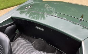 Sunbeam-Tiger-1965-Forest-Green-black-38