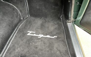 Sunbeam-Tiger-1965-Forest-Green-black-6