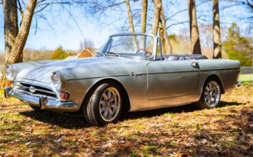Sunbeam-Tiger-1967-Silver-Black-2
