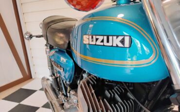 Suzuki-Other-1975-11