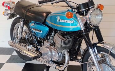 Suzuki-Other-1975-13