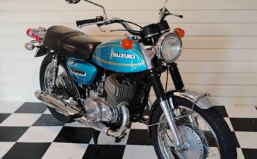 Suzuki-Other-1975-15