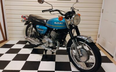 Suzuki Other 1975