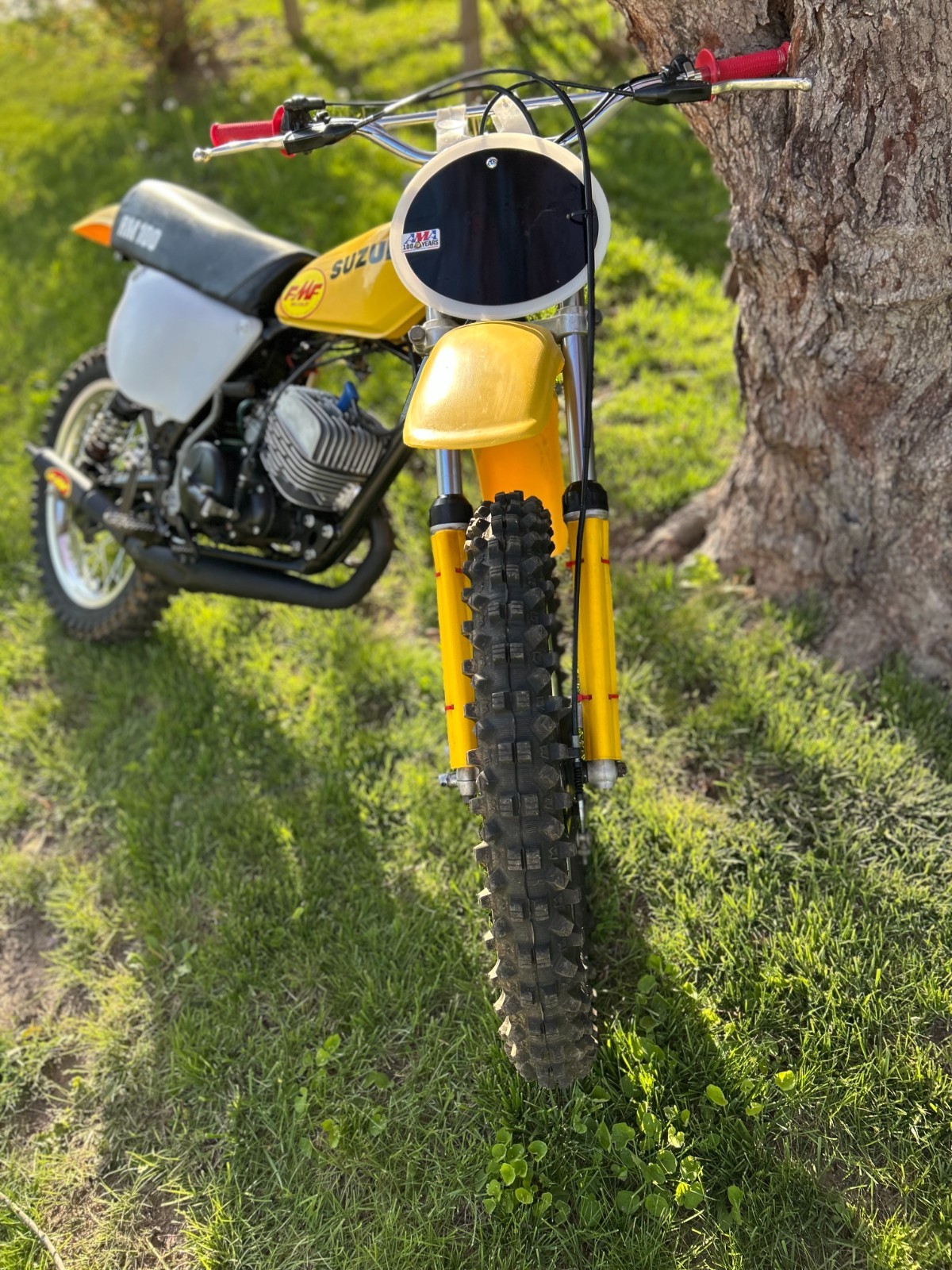 Suzuki-RM-1976-3