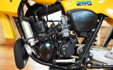 Suzuki-RM250-1983-15