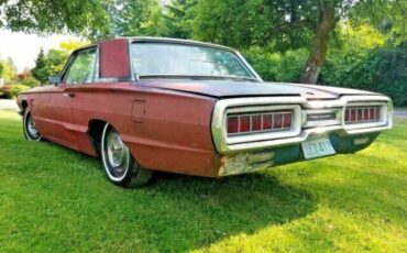 Thunderbird-1965-brown-7