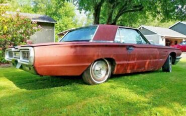 Thunderbird-1965-brown-9