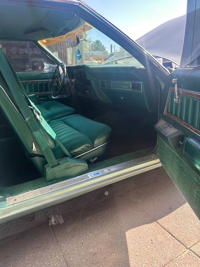 Thunderbird-1977-green-11