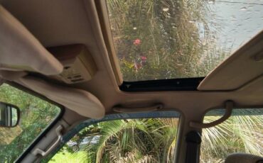 Title-by-the-cruiser-fj80-1992-6