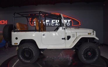 Toyota-FJ-Cruiser-1979-SUV-17