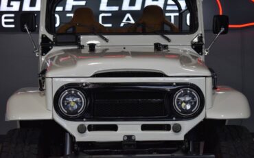 Toyota-FJ-Cruiser-1979-SUV-30