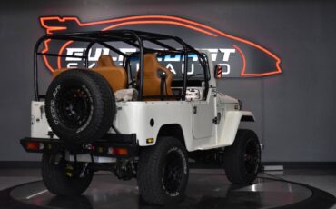 Toyota-FJ-Cruiser-1979-SUV-4