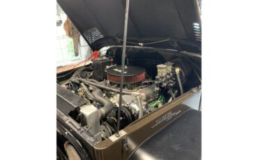 Toyota-Land-cruiser-1977-Custom-Buffalo-Brown-Black-19