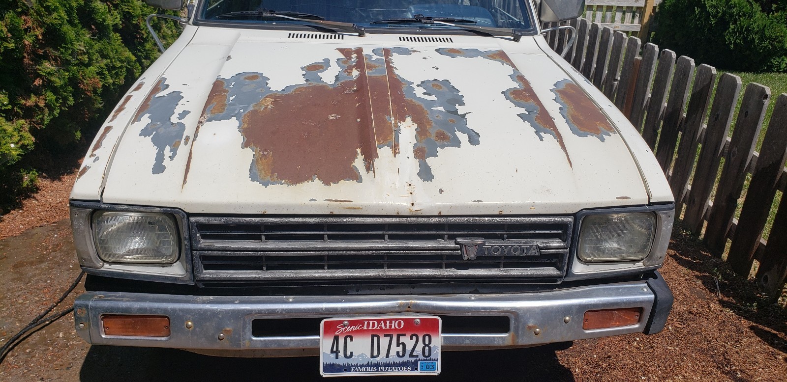 Toyota-Pickup-1982-9