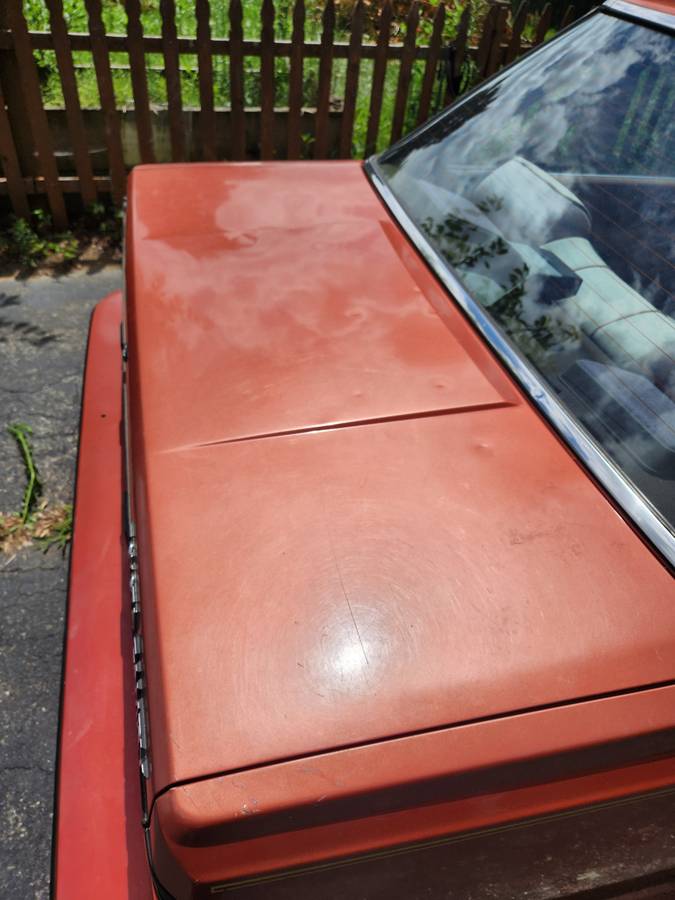 Toyota-camry-le-1984-4