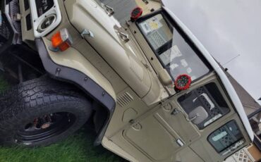 Toyota-diesel-1980-brown-3
