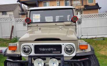 Toyota-diesel-1980-brown