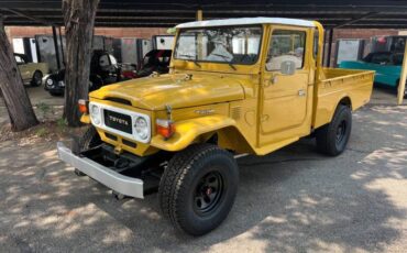 Toyota-fj-cruiser-1982