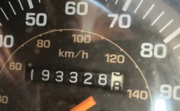 Toyota-land-cruiser-base-1988-grey-5