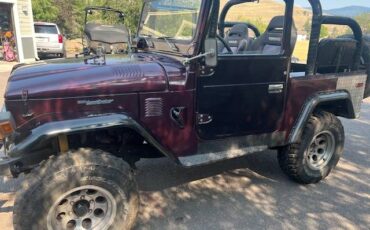 Toyota-landcruiser-1975-purple